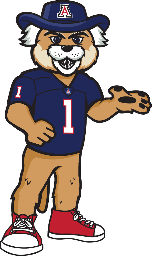 Arizona Wildcats 2013-Pres Mascot Logo v4 DIY iron on transfer (heat transfer)